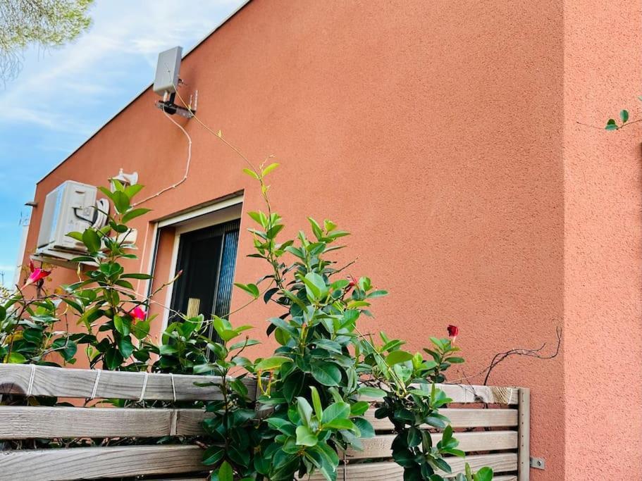 Moderne Mini Maison Lézignan-Corbières 外观 照片